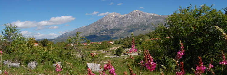 Alba Fucens excavated area and Velino mountain